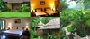 รูปย่อ เฟิร์นริมธารรีสอร์ท (Fern Resort) แม่ฮ่องสอน voucher ราคาพิเศษ รูปที่6