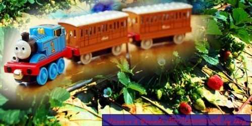 มีรถไฟ Thomas and Friends ไม้ เหล็กค่ะ.. รูปที่ 1