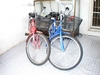 รูปย่อ ขายจักรยานแม่บ้านราคาถูก สีสันสดใส รูปที่4