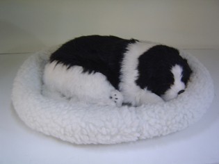 ตุ๊กตาหมาหายใจได้ รูปที่ 4