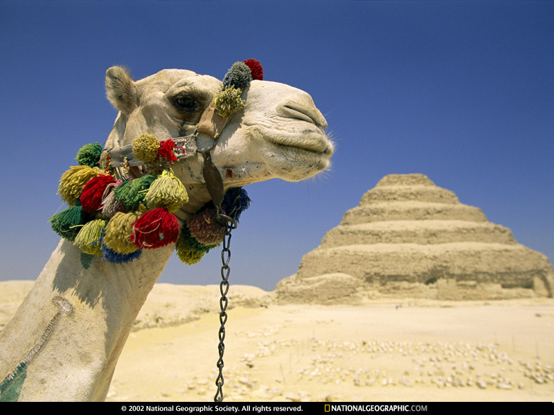 อียิปต์ 8 วัน (KU) เดินทาง 8-15 ส.ค. // 19-26 ก.ย.  รูปที่ 1