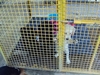 รูปย่อ ขายลูกสุนัขลาบราดอร์เพศเมีย 2 ตัว 2 สี ค่ะ (ราชบุรี) รูปที่3