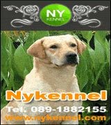 NY-Kennel 