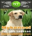 รูปย่อ NY-Kennel "สร้างสรรค์ผลงาน เพื่อพิสูจน์คุณภาพ" คอกสุนัข ระดับคุณภาพ แนวหน้าหนึ่งในเมืองไทย รูปที่1