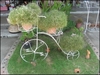 รูปย่อ กรงนก จักรยานเหล็กดัดแต่งบ้านแต่งสวนสไตล์วินเทจ รูปที่2