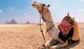 ทัวร์อียิปต์ ท่องเที่ยวอียิปต์ ในราคาพิเศษ จากผู้เชี่ยวชาญการเดินทาง
