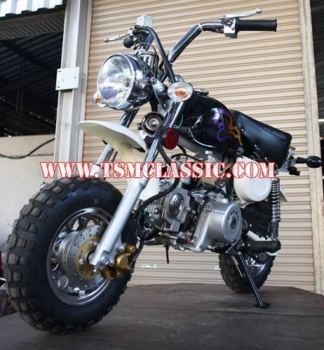 มังกี้และกอลิล่านำเข้าโดยตรงเข้ามาดูกัน รูปที่ 7