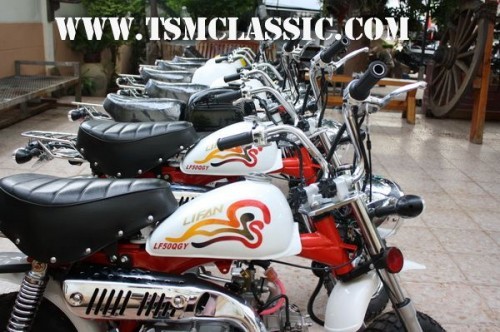 มังกี้และกอลิล่านำเข้าโดยตรงเข้ามาดูกัน รูปที่ 4
