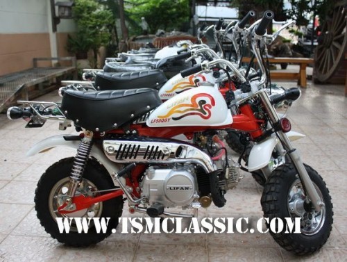 มังกี้และกอลิล่านำเข้าโดยตรงเข้ามาดูกัน รูปที่ 3