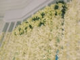 รับจัดงานแต่งงาน ซุ้มดอกไม้ ซุ้มถ่ายภาพ backdrop เสาดอกไม้ ช่อติดอก โต๊ะเค้ก  พานขันหมาก จัดตกแต่งสถานที่