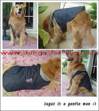 Update สินค้ามาใหม่ www.things-for-dog.com* รูปที่ 1