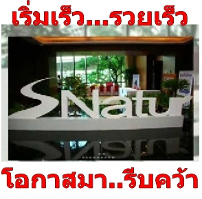 รายได้เสริม 5-7 หลัก ทำได้ที่บ้าน สมัคร 300 บาท รูปที่ 3