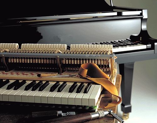tunePiano จูนเปียโน  ซ่อมเปียโน เปียโนโบราณ เก่า ใหม่ โดยช่างเปียโนผู้ชำนาญ ราคาไม่แพง รูปที่ 1