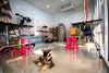 รูปย่อ *** Chill DogGy บริการอาบน้ำ ตัดแต่งขน สุนัขพันธุ์เล็ก ใหญ่ แมว กระต่าย สนามหลวง 2 โซนส่วนขยาย*** บริการอาบน้ำ ตัดแต่งข รูปที่2
