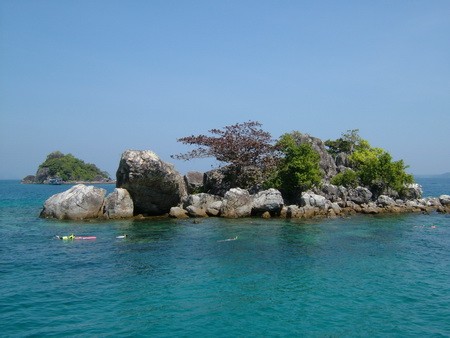 เกาะช้าง....ดำน้ำดูปะการัง ตกปลา 5 เกาะ 6 โปรแกรมราคาเบาๆ !! รูปที่ 1