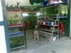รูปย่อ ร้านปลาสวยงาม   อยู่ ซอย อิสรภาพ 21 เข้ามาในซอย ร้านอยู่ตรงข้ามวัดสังข์กระจายคับ (บริการด้วยใจคับ) รูปที่4