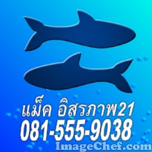 ร้านปลาสวยงาม   อยู่ ซอย อิสรภาพ 21 เข้ามาในซอย ร้านอยู่ตรงข้ามวัดสังข์กระจายคับ (บริการด้วยใจคับ) รูปที่ 1