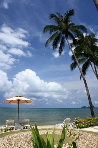 สอนถ่ายภาพ แบบตัวต่อตัว จบใน 1 วัน 1200 บาทต่อคน รูปที่ 4