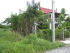 รูปย่อ ที่ดิน 80 ตร.วา อ.สัตหีบ ชลบุรี รูปที่1