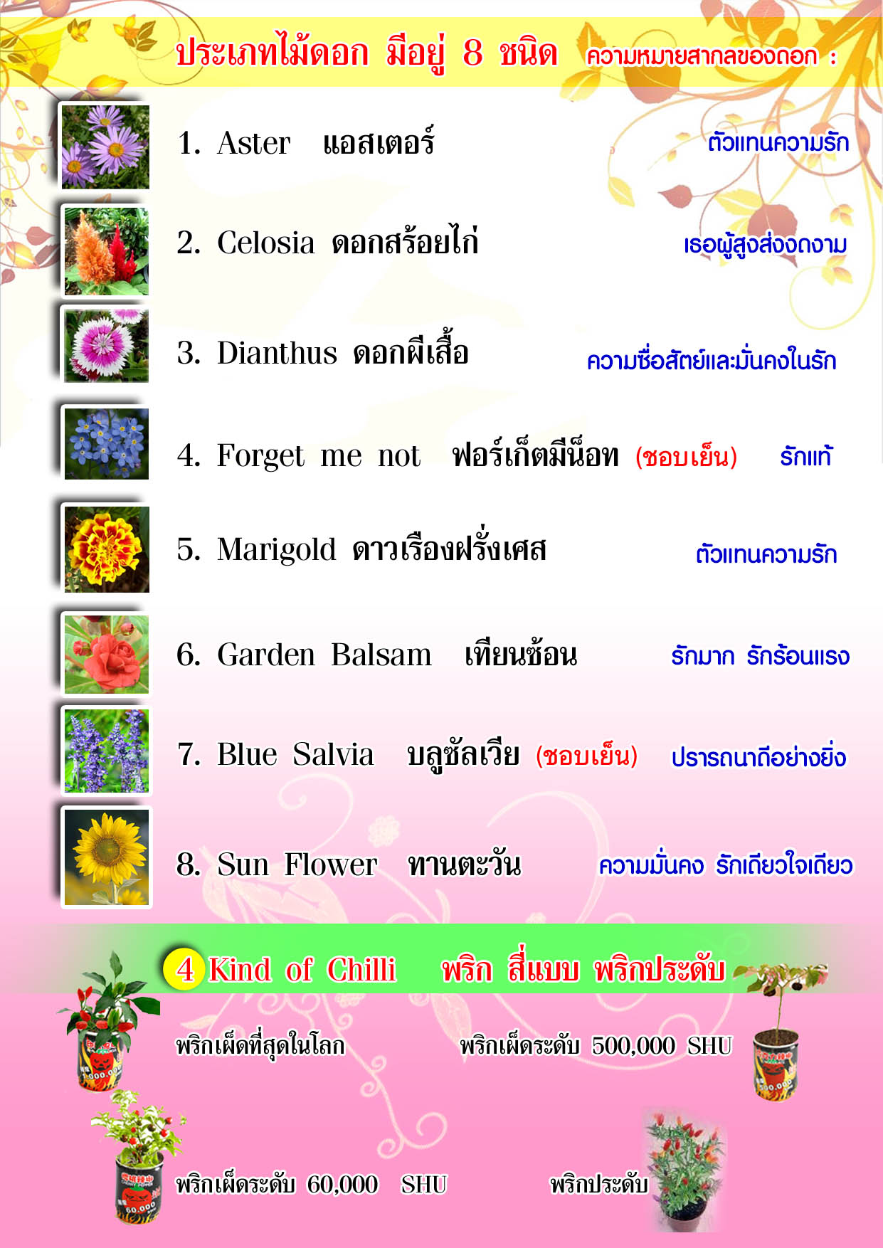 ต้นไม้กระป๋องบอกความรู้สึก รูปที่ 2