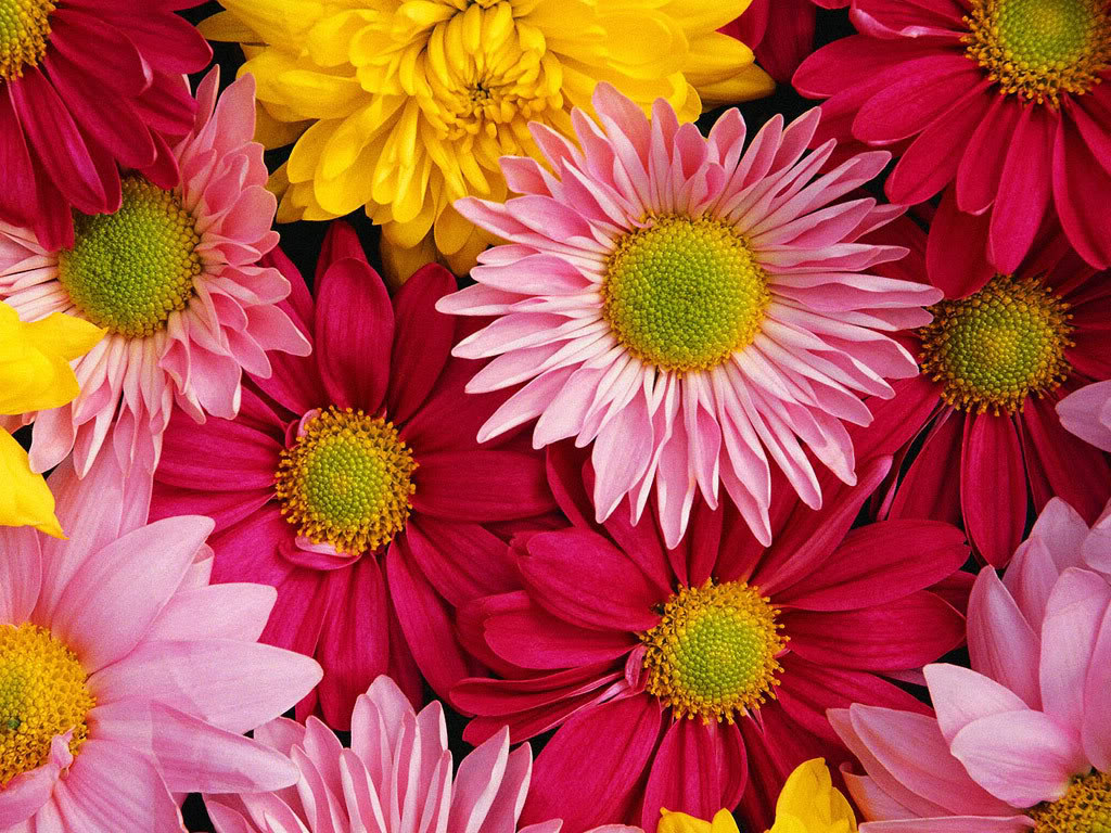 รับจัดดอกไม้ตามแบบ ตระกร้าดอกไม้ ช่อดอกไม้ แจกันดอกไม้ จัดดอกไม้งานแต่ง Event รูปที่ 1