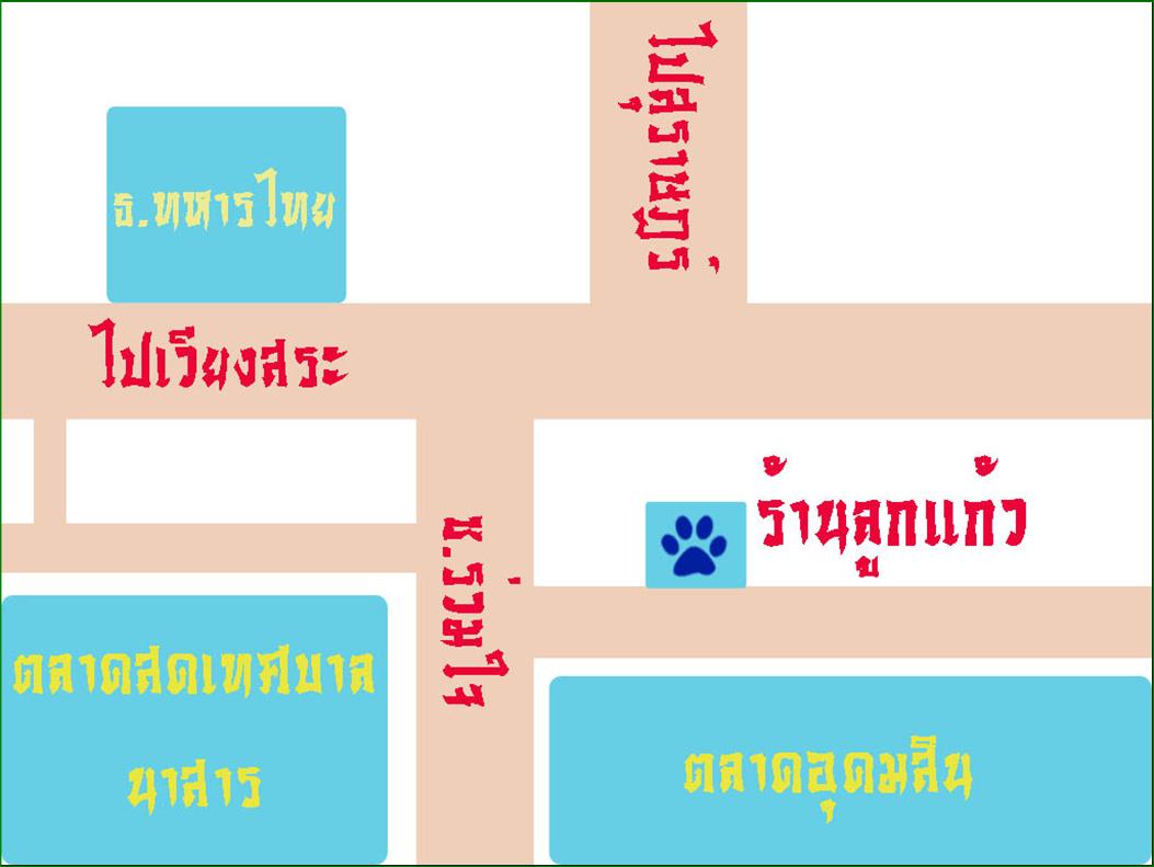 ร้านลูกแก้ว ร้านอาบน้ำ ตัดขน สุนัขและแมว นาสาร สุราษฎร์ รูปที่ 1