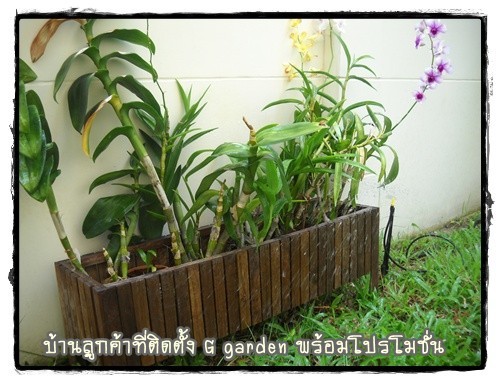 เครื่องตั้งเวลารดน้ำต้นไม้อัตโนมัติ  G garden Digital Control รูปที่ 6