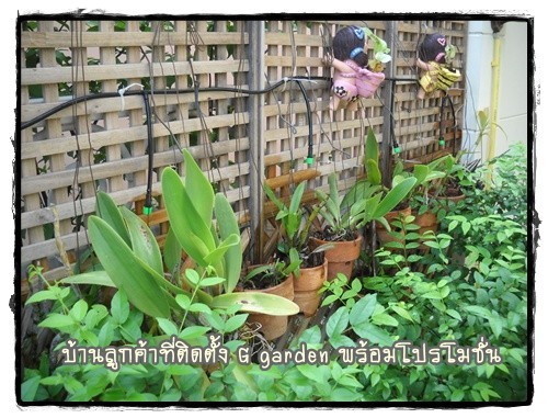 เครื่องตั้งเวลารดน้ำต้นไม้อัตโนมัติ  G garden Digital Control รูปที่ 5