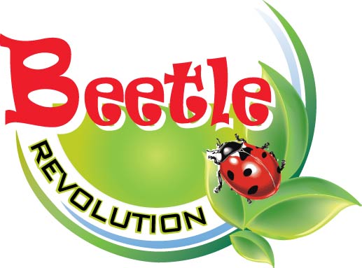 Beetle Revolution Organize รูปที่ 1