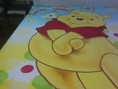 ผ้าห่มขนนุ่มลายการ์ตูนน่ารัก ๆ