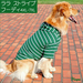 รูปย่อ เสื้อผ้าสําหรับสุนัขพันธุ์ใหญ่ Labrador, Golden Retriever, German Shepherd รูปที่5