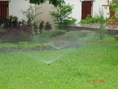 จำหน่าย  ออกแบบ  ติดตั้งระบบรดน้ำต้นไม้ ระบบรดน้ำ สปริงเกอร์ sprinkler รดน้ำ ออกแบบและรดน้ำในสวน หยด