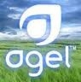 AGEL รับสมัครทีมงานต้นสาย ธุรกิจเครือข่ายอันดับ 1 ความสำเร็จที่พิสูจน์มาแล้วทั่วโลก