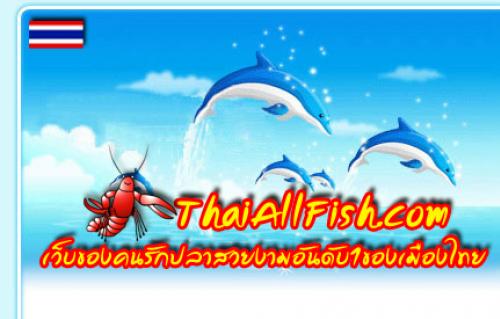 >>> เว็บของคนรักปลาสวยงามอันดับ1ของเมืองไทย << รูปที่ 1