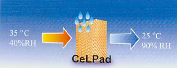 Evap Cooling pad  Evaporative cooling pad ขายคูลลิ่งแพคระบบทำความเย็นด้วยการระหายของน้ำ ใช้ได้ทั้งโร รูปที่ 1