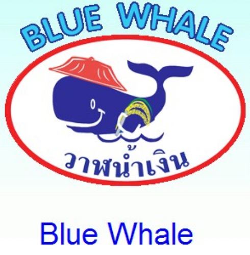 Blue Whale ไคโตซาน เทคโนโลยีใหม่ โคโตซาน 100% รูปที่ 1