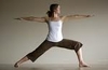 รูปย่อ ANANDA MAYA YOGA STUDIO พลังโยคะบำบัด Yoga Therapy แห่งแรกในประเทศไทย จากอินเดีย ดำเนินการสอนโดย ครูหญิง เพ็ญจรินทร์ รูปที่2