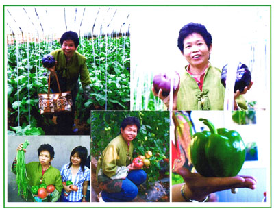 โปโลจุลินทรีย์ ช่วยปลดหนี้เกษตรกร รูปที่ 2