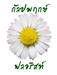 รูปย่อ เรียนท่านผู้มีเกียรติขออนุญาตินำเสนอเว็บไซต์ร้านดอกไม้กัลปพฤกษ์ฟลอริสท์ รูปที่1