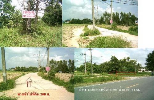 ขายที่ดิน-ให้เช่า 98 ตรว. ต.โป่ง บางละมุง พัทยา ชลบุรี รูปที่ 1