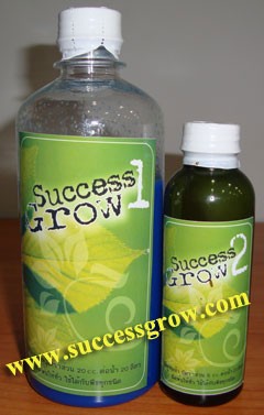 จำหน่าย Success Grow  ฉีด  4 ชั่วโมงเห็นผลทันตา รูปที่ 1