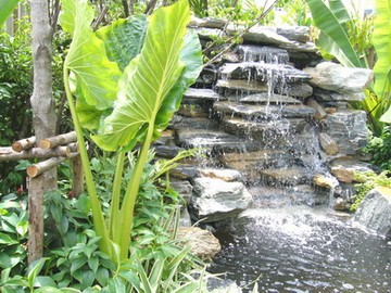 รับออกแบบจัดสวนในเขตกรุงเทพและปริมณฑล ชะอำ หัวหิน ปราณบุรี ราคาไม่แพง รูปที่ 5