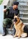 รับฝึกสุนัขราคาถูก และรับฝากเลี้ยงสุนัขทุกสายพันธุ์ โดยครูฝึกสุนัขทหาร กองบิน1 รูปที่ 1