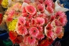 รูปย่อ ขายส่งดอกไม้สดจากนอก ราคาถูก คุณหมิง cameron highland malaysia รูปที่2