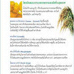 น้ำมันรำข้าวและจมูกข้าว ขนาด 60 แคปซูล BIOGROW Natural ORYZANOL โอไรซานอล ลดโคเลสเตอรอลในหลอดเลือด บำรุงผิวพรรณสวยอมชมพู รูปที่ 6