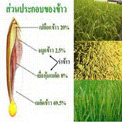 น้ำมันรำข้าวและจมูกข้าว ขนาด 60 แคปซูล BIOGROW Natural ORYZANOL โอไรซานอล ลดโคเลสเตอรอลในหลอดเลือด บำรุงผิวพรรณสวยอมชมพู รูปที่ 5
