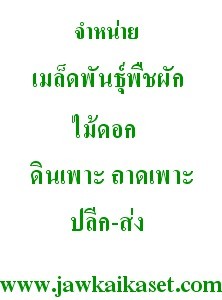 ขาย จำหน่ายเมล็ดพันธุ์พืชผัก พืชไร่ ไม้ดอก ดินเพาะ ถาดเพาะ เทปน้ำพุ่ง เทปน้ำหยด พลาสติกคลุมดิน รูปที่ 1