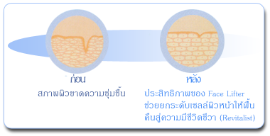 ต่อกรกับริ้วรอยและความหมองคล้ำด้วยครีมบำรุงผิวหน้า สูตรเฉพาะ Oil – Hydro Balance  รูปที่ 6