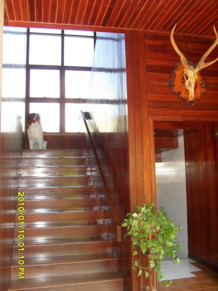 ลดราคาอีกรอบสุดท้าย สวยและน่าอยู่จริง..บ้านเดี่ยว นนทบุรี สไตล์ โมเดิร์น รีสอร์ท บน ที่ดิน 500 ตร.วา(เคยลงนส.บ้านและสวน) รูปที่ 5