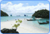 รูปย่อ Junya Network Tour, ThailandIslandTrue, Thailland Island True, Travel, Tour, Similan, Phi Phi, Surin, Chang, Islands รูปที่2